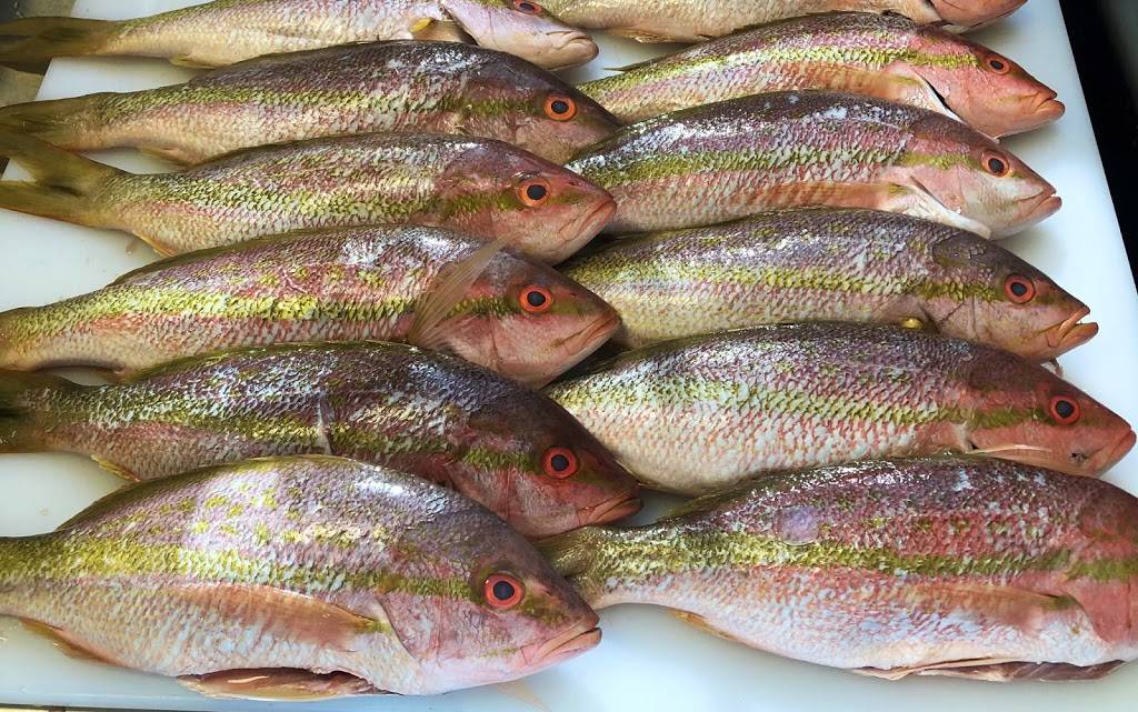 Bordeaux | restaurant | 4734 Magazine St, New Orleans, LA 70115, USA | 5042735747 OR +1 504-273-5747