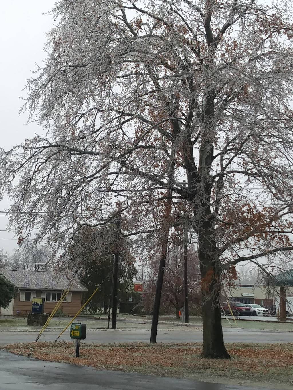 Subway Restaurants | restaurant | 83 West Washington Street, Jamestown, OH 45335, USA | 9376753333 OR +1 937-675-3333