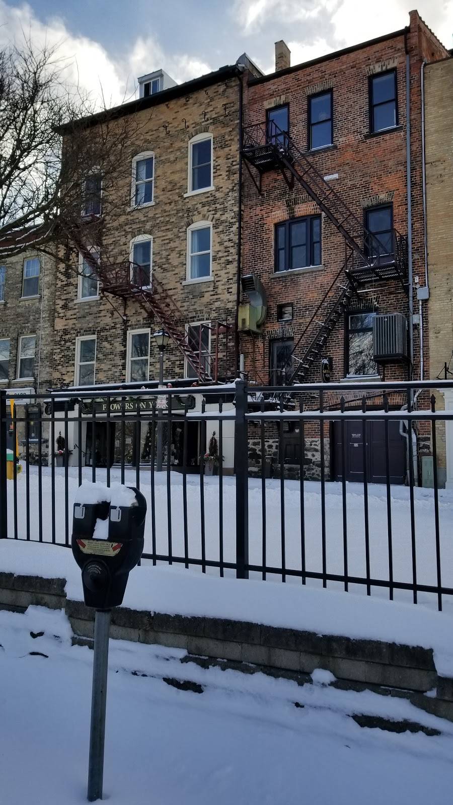 Boat House Patio | restaurant | 30 York St, Stratford, ON N5A 1A1, Canada | 5192717739 OR +1 519-271-7739