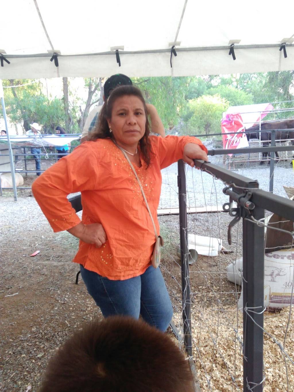 Crazy Catfish Restaurant | restaurant | 1410 W Buckingham Rd, Garland, TX 75042, USA | 9724872100 OR +1 972-487-2100