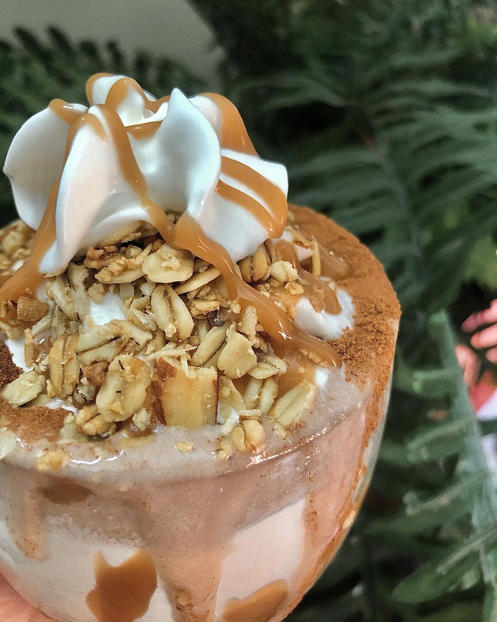 Aloha Nutrition | restaurant | 2907 W Emaus Ave, Allentown, PA 18103, USA | 4848380271 OR +1 484-838-0271