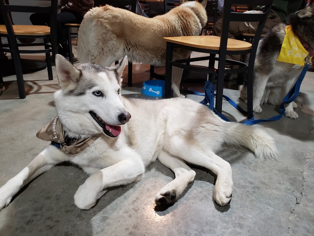 Telco Brewery | restaurant | 27825 Fremont Ct #13, Santa Clarita, CA 91355, USA | 8188352607 OR +1 818-835-2607