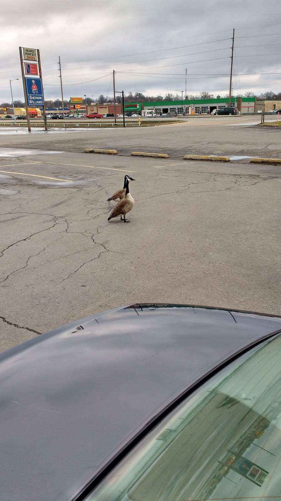 Chinatown Buffet | restaurant | 329 S Kingshighway, Cape Girardeau, MO 63703, USA | 5733328889 OR +1 573-332-8889