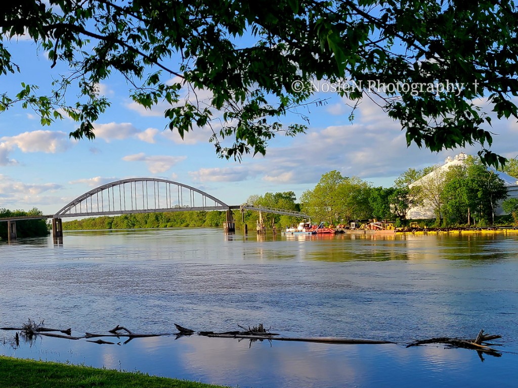 Dondies White River Princess | restaurant | 203 E Curran St, Des Arc, AR 72040, USA | 8706387051 OR +1 870-638-7051