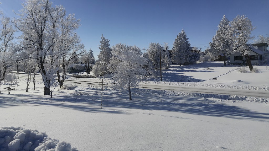 The Drive-In | restaurant | 433 S Main St, Condon, OR 97823, USA | 5413843922 OR +1 541-384-3922