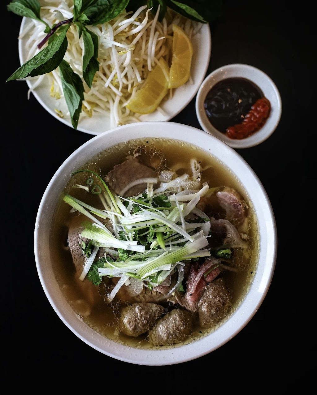 Pho Lover | restaurant | 1349 N Henderson St, Galesburg, IL 61401, USA | 3099734156 OR +1 309-973-4156