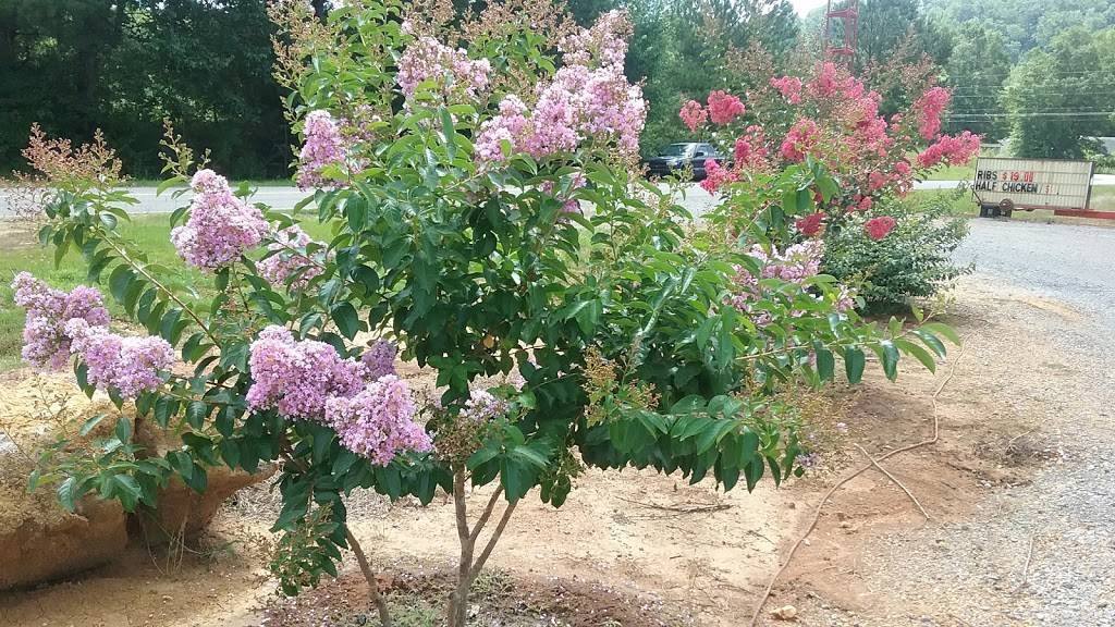 Country Girl Real Pit Bar B Que | restaurant | 3904 St Clair Rd, Springville, AL 35146, USA | 2052295922 OR +1 205-229-5922