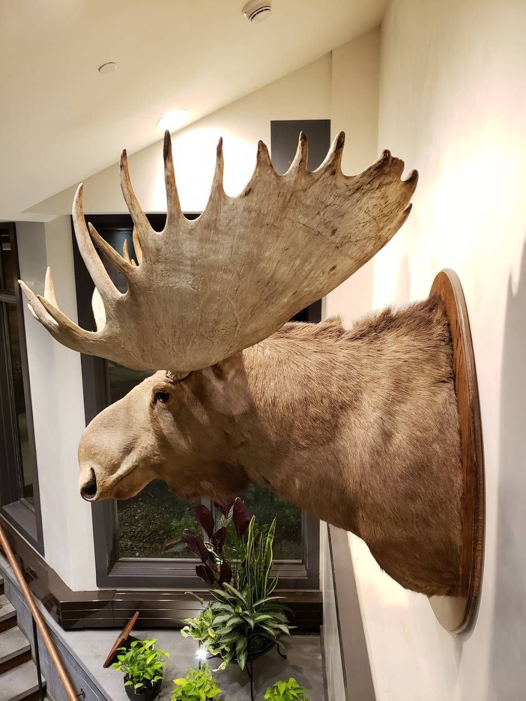 The Roost | restaurant | Topnotch Resort, 4000 Mountain Rd, Stowe, VT 05672, USA | 8022536471 OR +1 802-253-6471