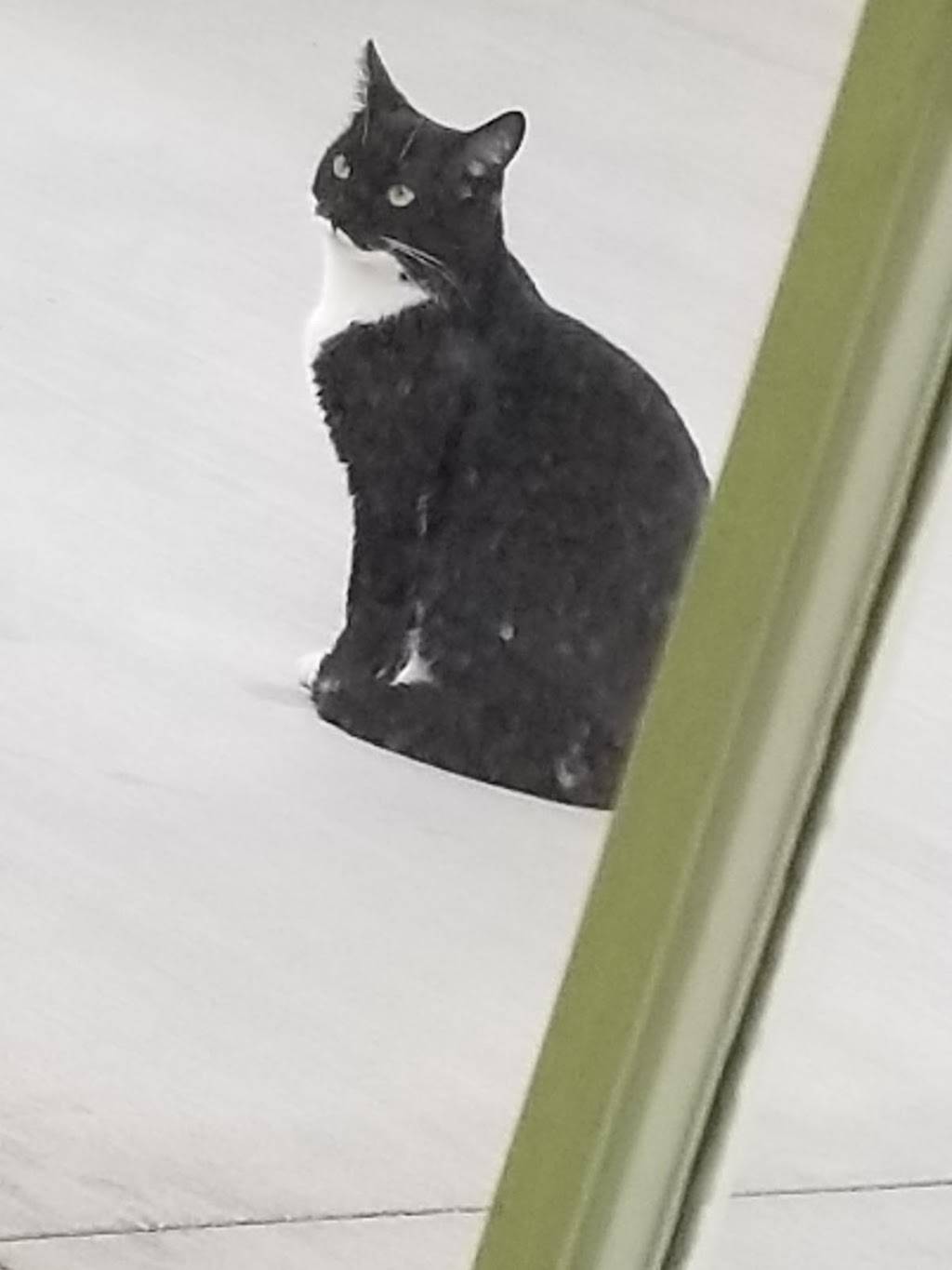 Ramen Bar | restaurant | Unnamed Road, Lancaster, CA 93534, USA | 6615799393 OR +1 661-579-9393