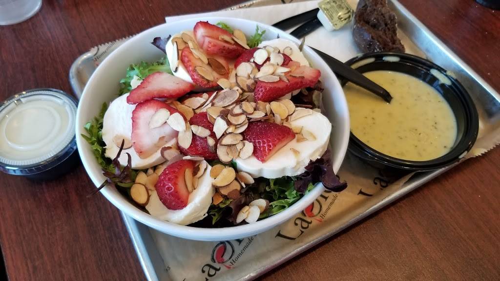 Ladles Soups | meal takeaway | 1164 Basketweave Dr, Mt Pleasant, SC 29466, USA | 8436062711 OR +1 843-606-2711