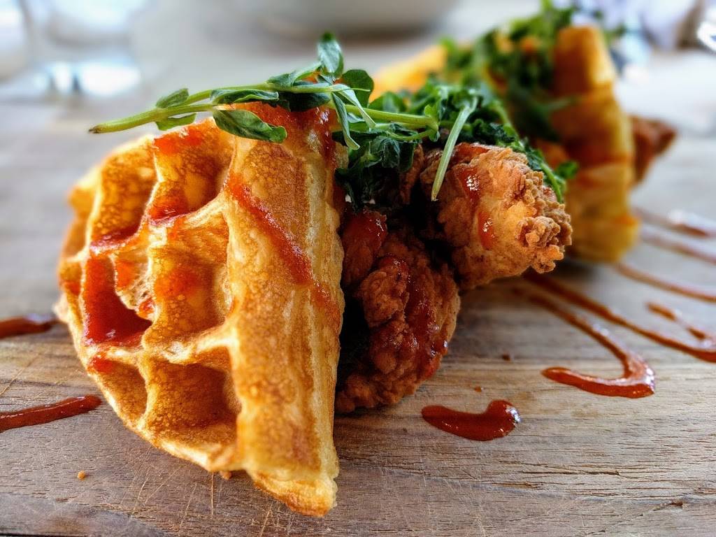 Boca Tampa | restaurant | 901 W Platt St, Tampa, FL 33606, USA | 8132547070 OR +1 813-254-7070