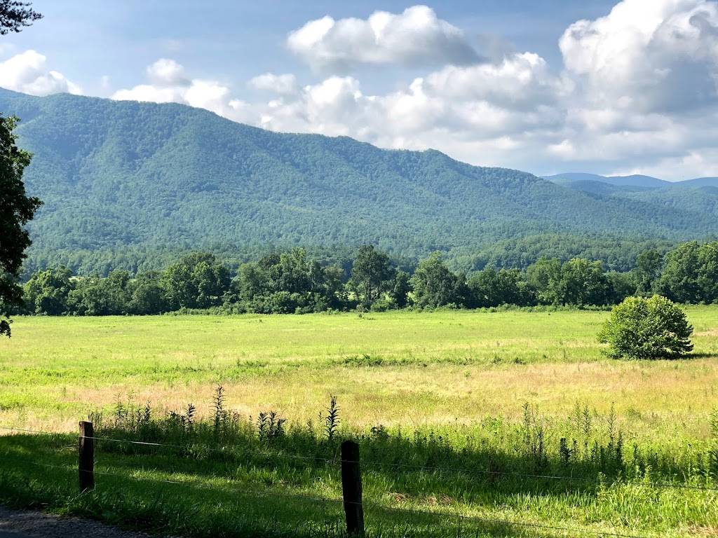 Cades Cove Campground Store and Bike Rental | restaurant | 10035 Campground Dr, Townsend, TN 37882, USA | 8654489034 OR +1 865-448-9034
