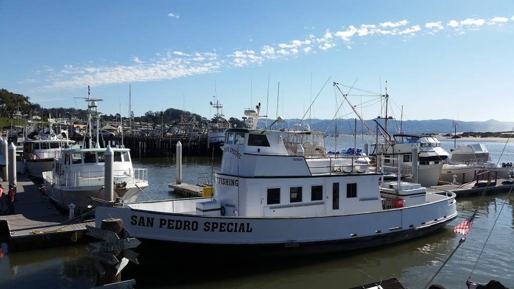 Harbor Hut | restaurant | 1205 Embarcadero, Morro Bay, CA 93442, USA | 8057722255 OR +1 805-772-2255