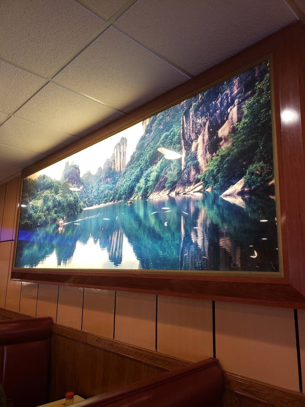 China King | restaurant | 711 E Miller Rd, Lansing, MI 48911, USA | 5173949999 OR +1 517-394-9999