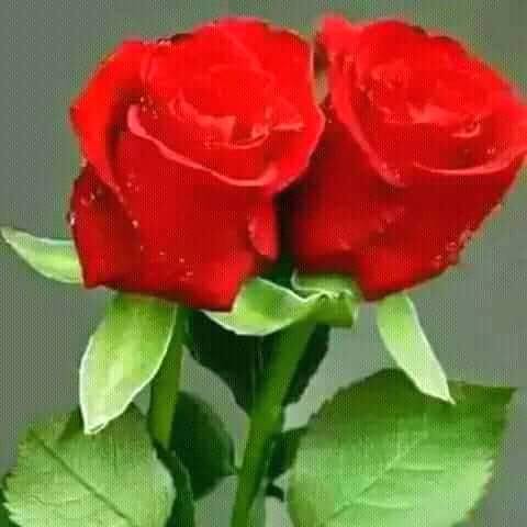 Oasis Saloon | restaurant | 757 Academy Ave, Sanger, CA 93657, USA | 5598751390 OR +1 559-875-1390