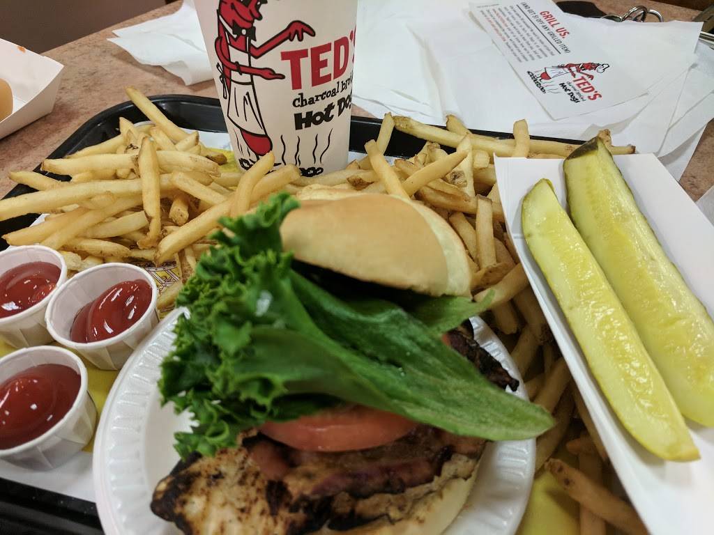 Teds Hot Dogs | restaurant | 333 Meadow Dr, North Tonawanda, NY 14120, USA | 7166931960 OR +1 716-693-1960