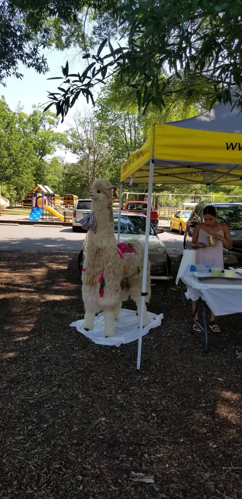 Chinatown Restaurant | restaurant | 405 Central Ave, Butner, NC 27509, USA | 9195758455 OR +1 919-575-8455