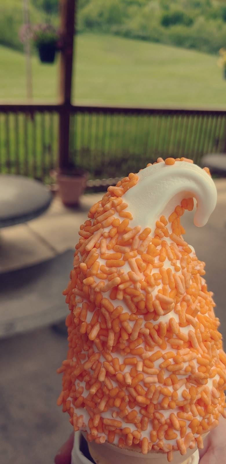 Polings DairyKing | restaurant | 5624 Milford St, Salem, WV 26426, USA | 3047454389 OR +1 304-745-4389