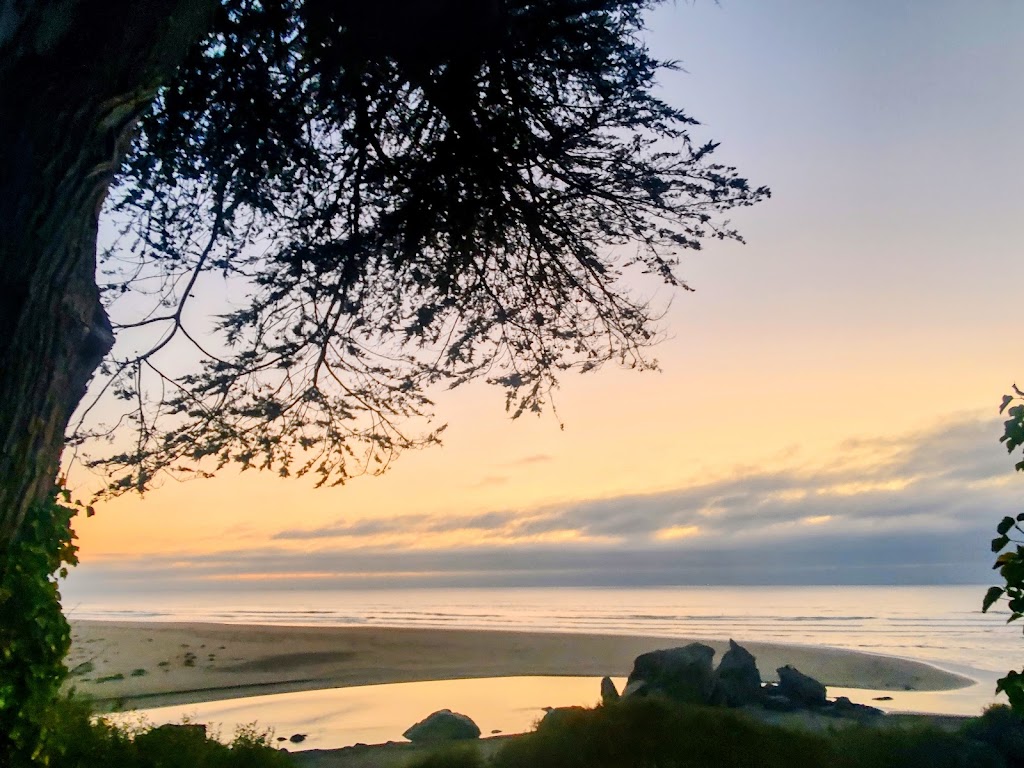 Moonstone Grill | restaurant | 100 Moonstone Beach Rd, Trinidad, CA 95570, USA | 7076771616 OR +1 707-677-1616