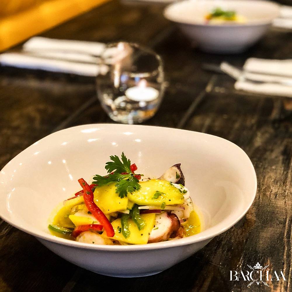 BARCHAA | restaurant | 567 Wilson Ave, Brooklyn, NY 11207, USA | 3474056745 OR +1 347-405-6745