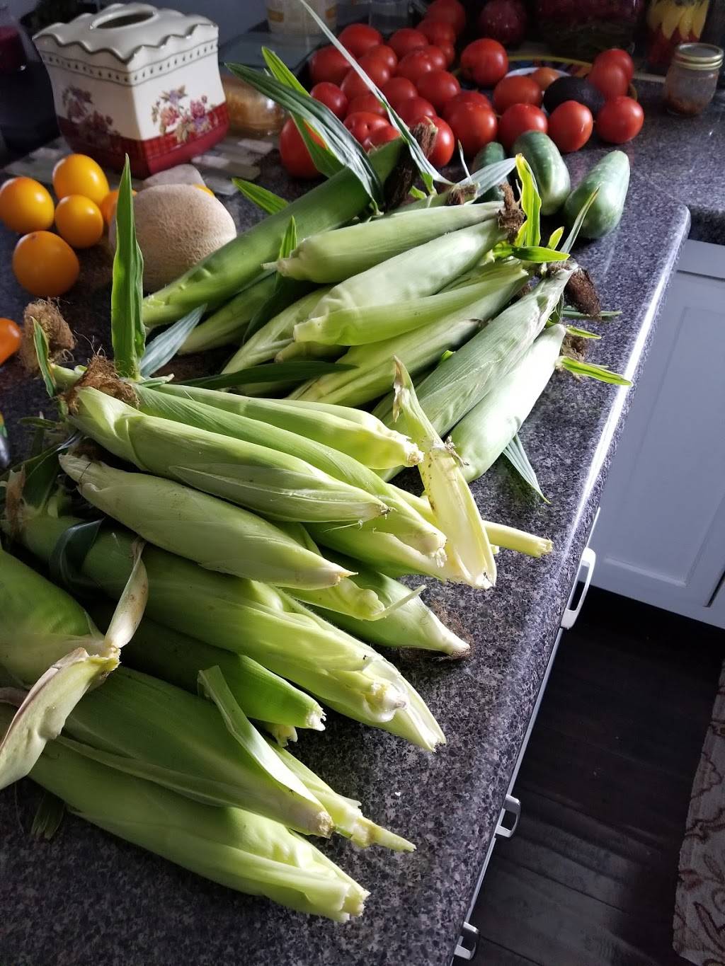 Tacos Mi Casita | restaurant | 4633 Clairmont Dr, Columbus, IN 47203, USA | 8123747679 OR +1 812-374-7679