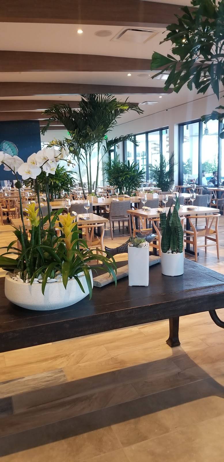 Oceanic | restaurant | 250 N Pompano Beach Blvd, Pompano Beach, FL 33062, USA | 9543663768 OR +1 954-366-3768