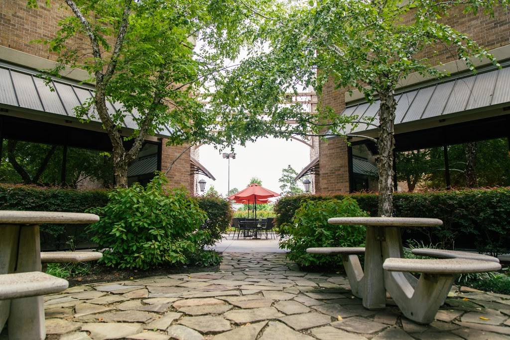 Mezzanotte Ristorante | restaurant | 13215 Grant Rd ste 1200, Cypress, TX 77429, USA | 8327177870 OR +1 832-717-7870