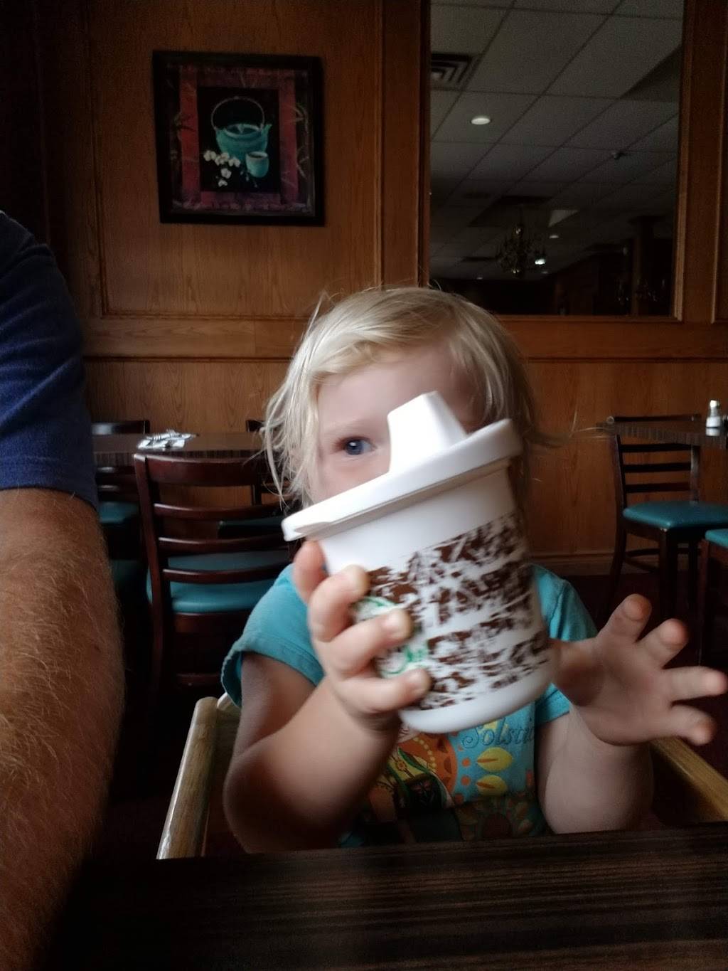 Choys Chinese Restaurant | restaurant | 118 Guelph St, Halton Hills, ON L7G 4A3, Canada | 9058739688 OR +1 905-873-9688