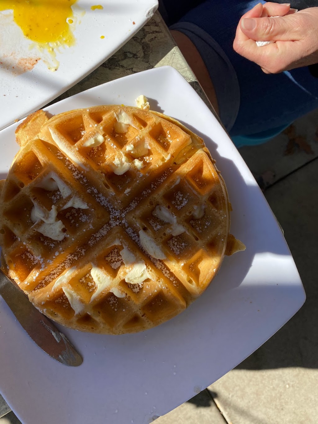 Canopy Road Café | restaurant | 1913 N Monroe St, Tallahassee, FL 32303, USA | 8506686600 OR +1 850-668-6600