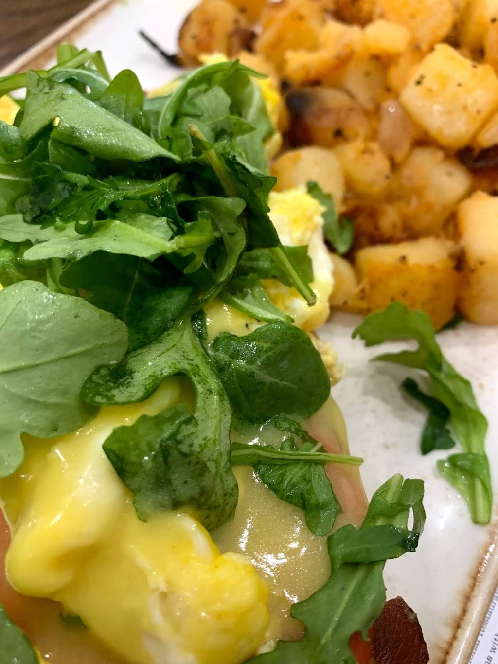 First Watch - Shoppes of Deerfield | restaurant | 3644 W Hillsboro Blvd, Deerfield Beach, FL 33442, USA | 9544292901 OR +1 954-429-2901