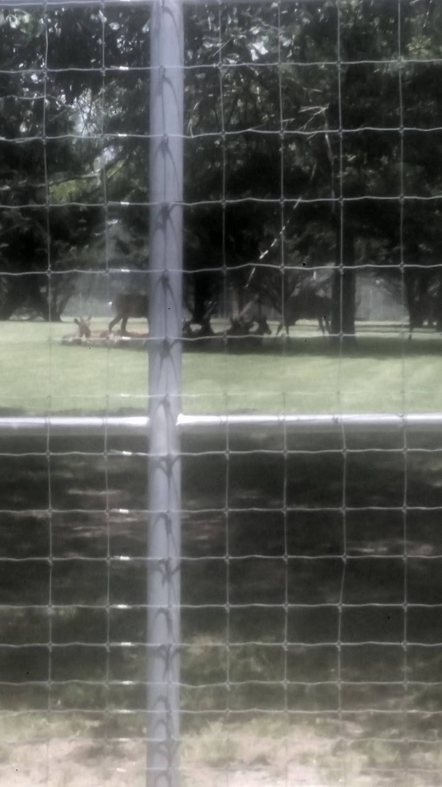 Bama Bucks | restaurant | 292 Bryant Rd, Sardis City, AL 35956, USA | 2562819234 OR +1 256-281-9234