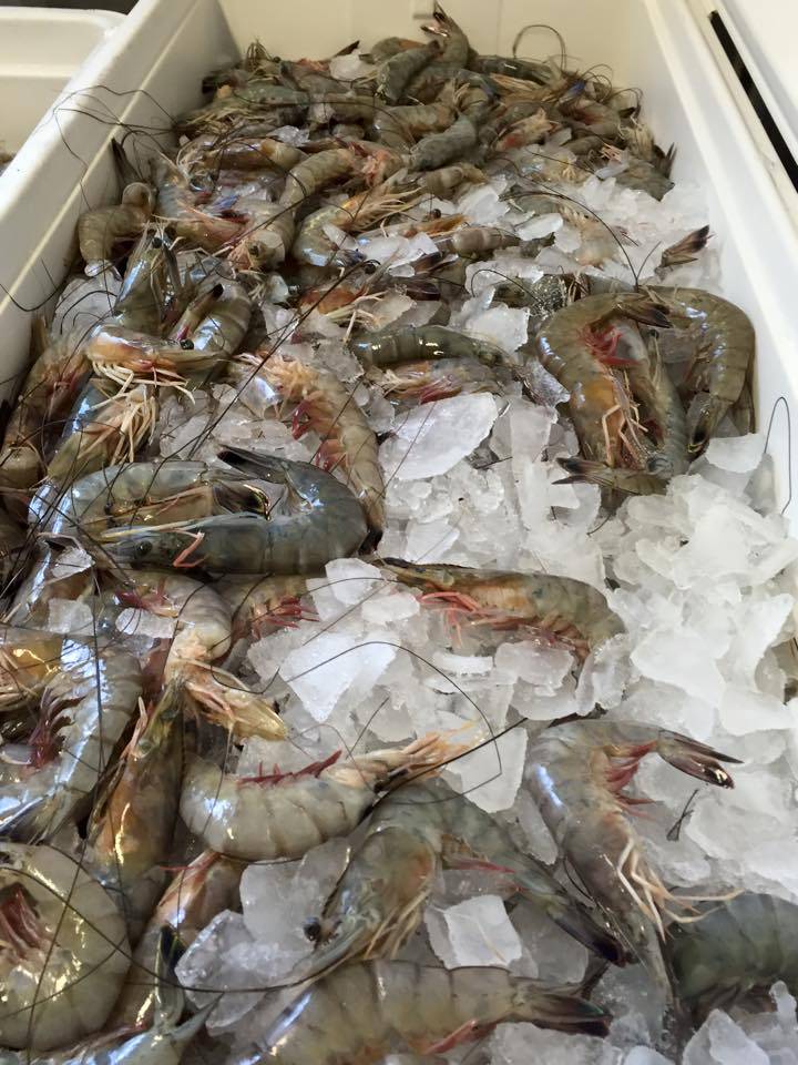 Pats Seafood Market & Cajun Deli | restaurant | 1248 N Collins Blvd, Covington, LA 70433, USA | 9858927287 OR +1 985-892-7287