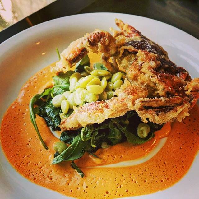 The Obstinate Daughter | restaurant | 2063 Middle St, Sullivans Island, SC 29482, USA | 8434165020 OR +1 843-416-5020