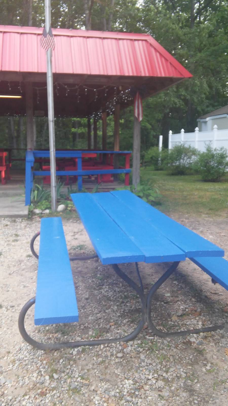 Andys Pizzeria | restaurant | 303 W Higgins Lake Dr, Roscommon, MI 48653, USA | 9898215553 OR +1 989-821-5553