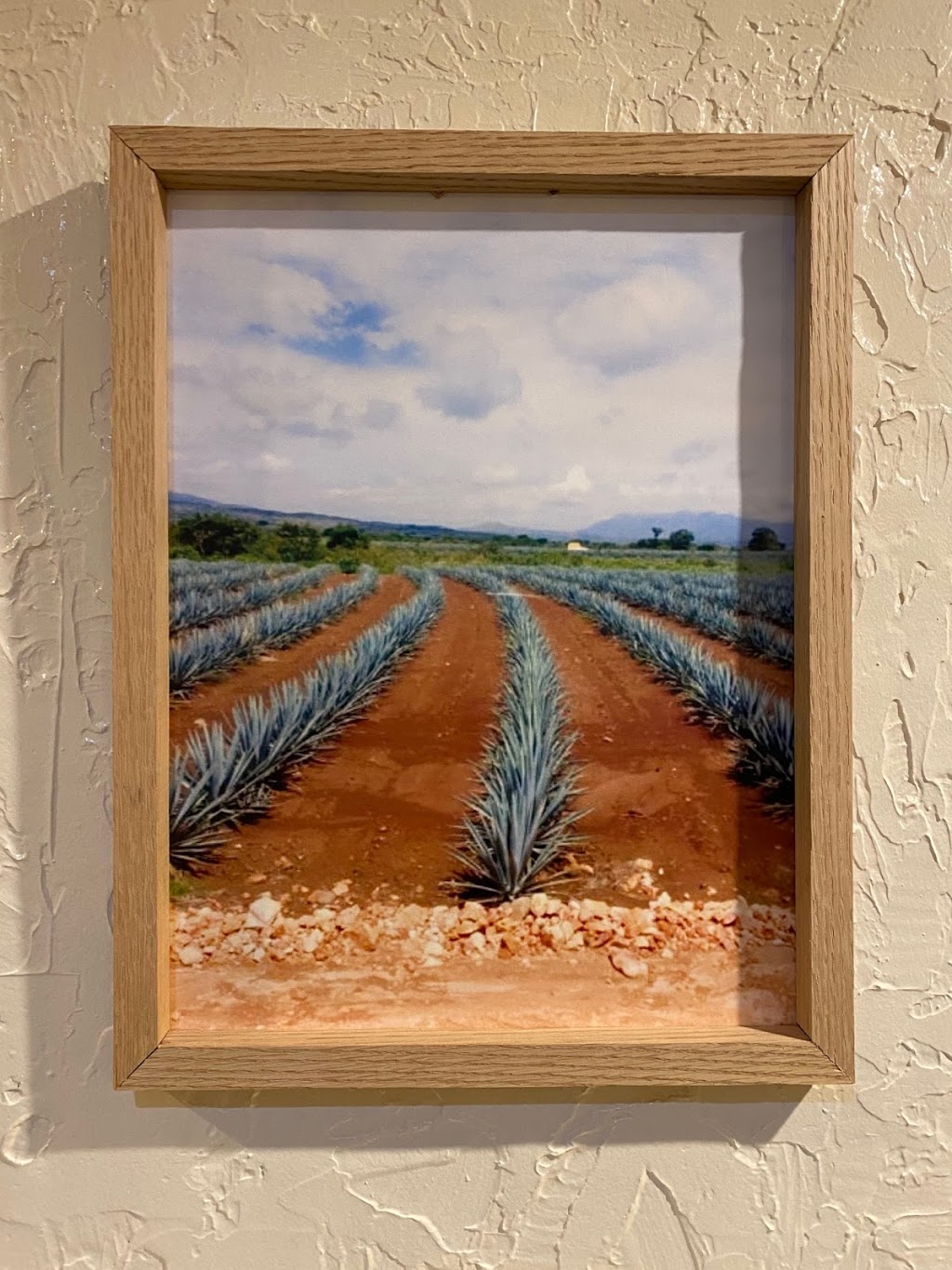 Casa Gallardo Fajita Factory | restaurant | 625 Mt Clinton Pike, Harrisonburg, VA 22802, USA | 5402098198 OR +1 540-209-8198