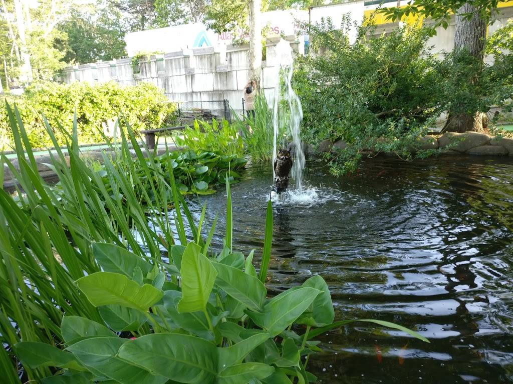 The Cove - Golf & Grill | restaurant | 386 State Rd, Vineyard Haven, MA 02568, USA | 5086932611 OR +1 508-693-2611