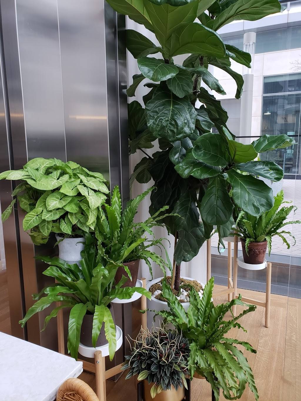 Little River | restaurant | 440 E 29th St, New York, NY 10016, USA | 2127299790 OR +1 212-729-9790