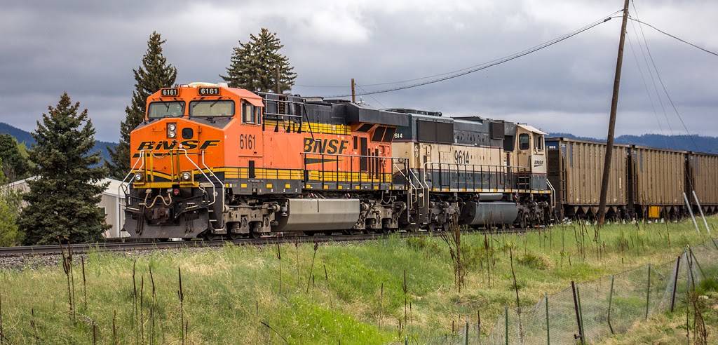 OBriens Cafe | restaurant | 5585 US-85, Sedalia, CO 80135, USA | 3036884672 OR +1 303-688-4672