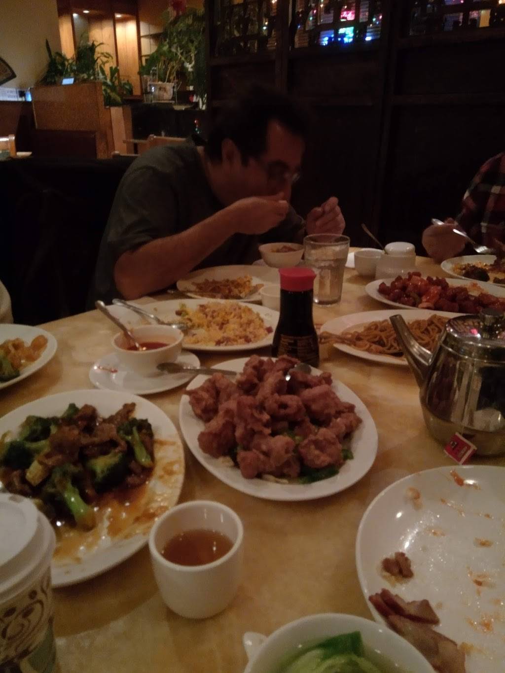 Hidden Dragon | restaurant | 4106 Lone Tree Way, Antioch, CA 94531, USA | 9257558898 OR +1 925-755-8898