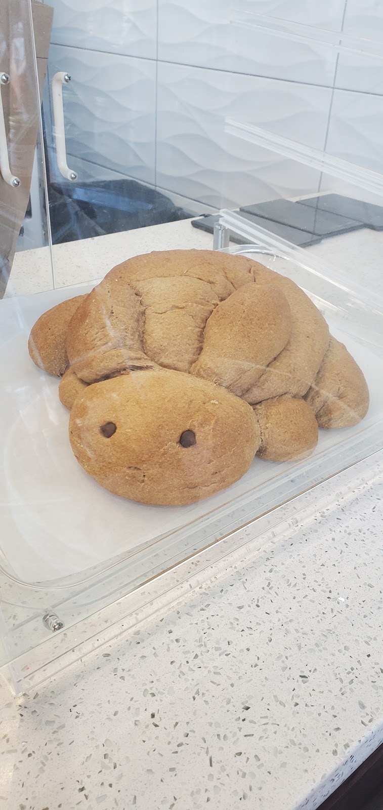 Great Harvest Bread Co. Frisco | restaurant | 6363 Dallas Pkwy Suite 211, Frisco, TX 75034, USA | 9729875067 OR +1 972-987-5067