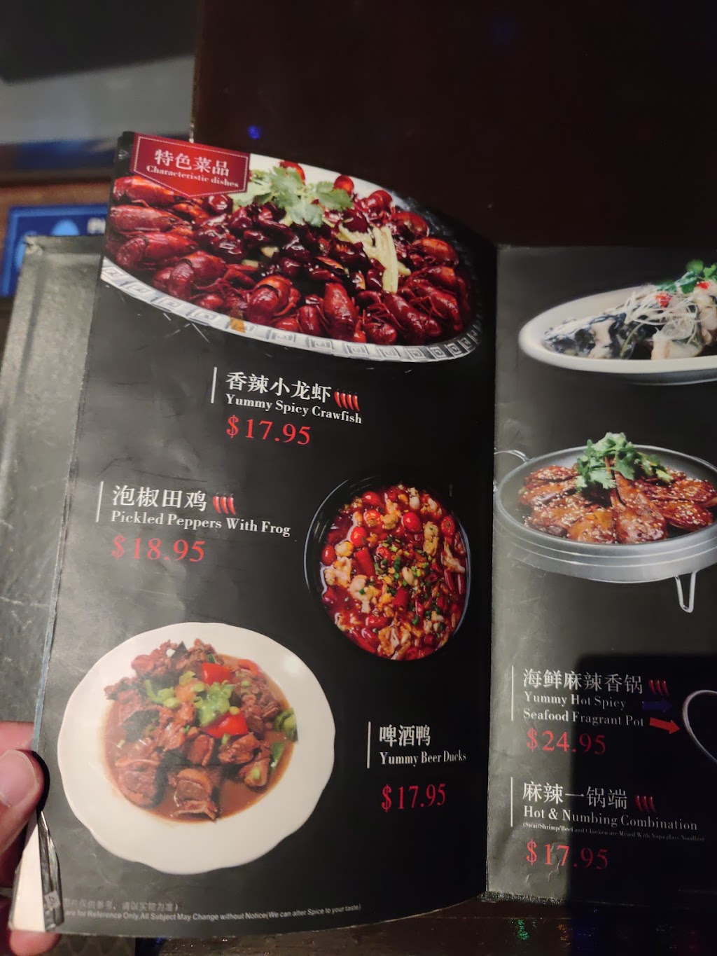 Yummy Spicy | restaurant | 5164 Buford Hwy NE, Doraville, GA 30340, USA | 7706805605 OR +1 770-680-5605