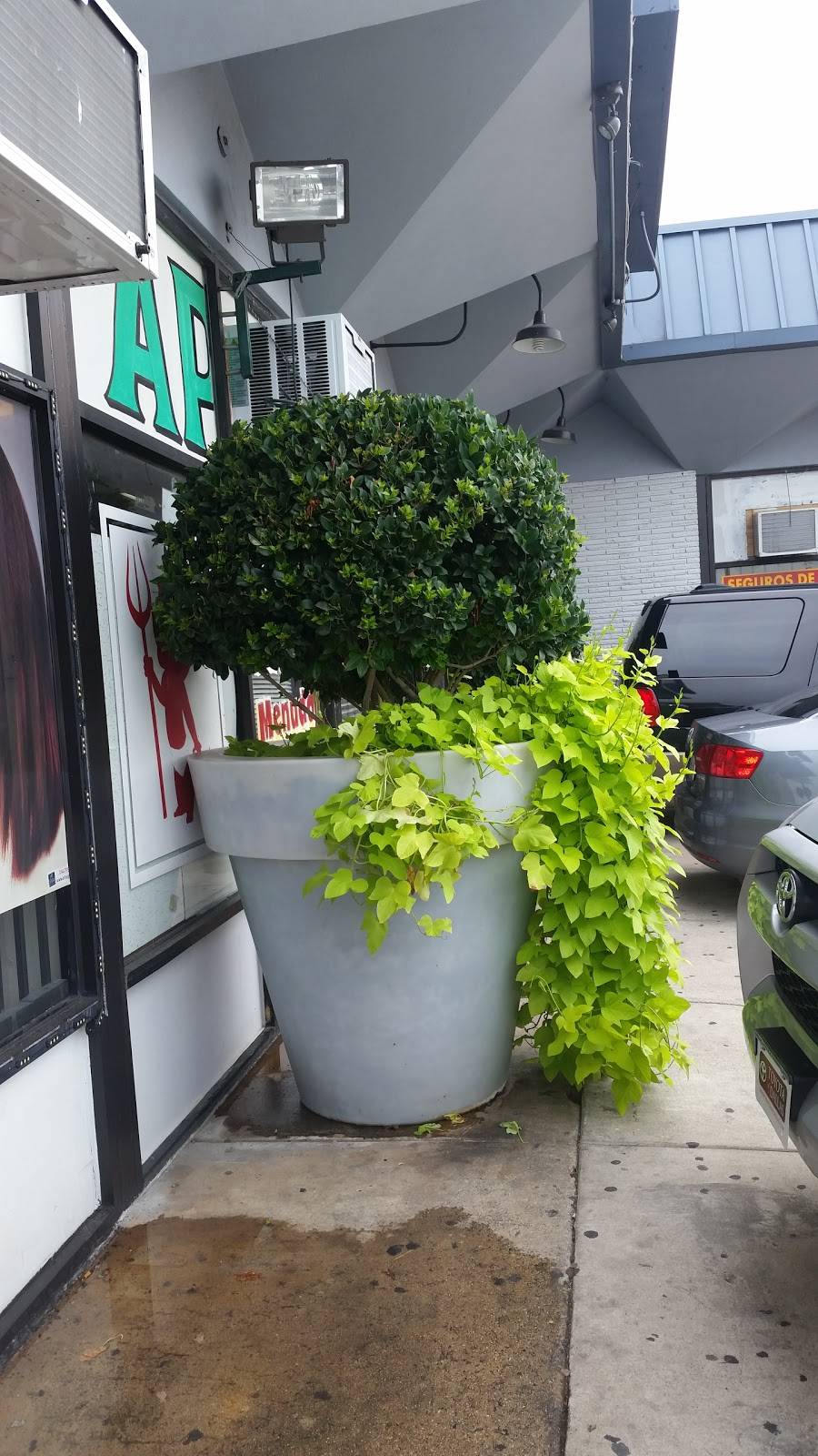 Taqueria Apatzingan | restaurant | 9734 Webb Chapel Rd, Dallas, TX 75220, USA | 9729742649 OR +1 972-974-2649