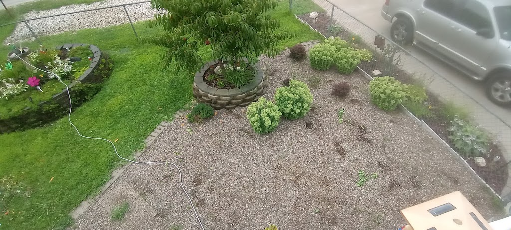 Brians little slice of heaven | restaurant | 17113 10th Ave, East Moline, IL 61244, USA | 3092811167 OR +1 309-281-1167