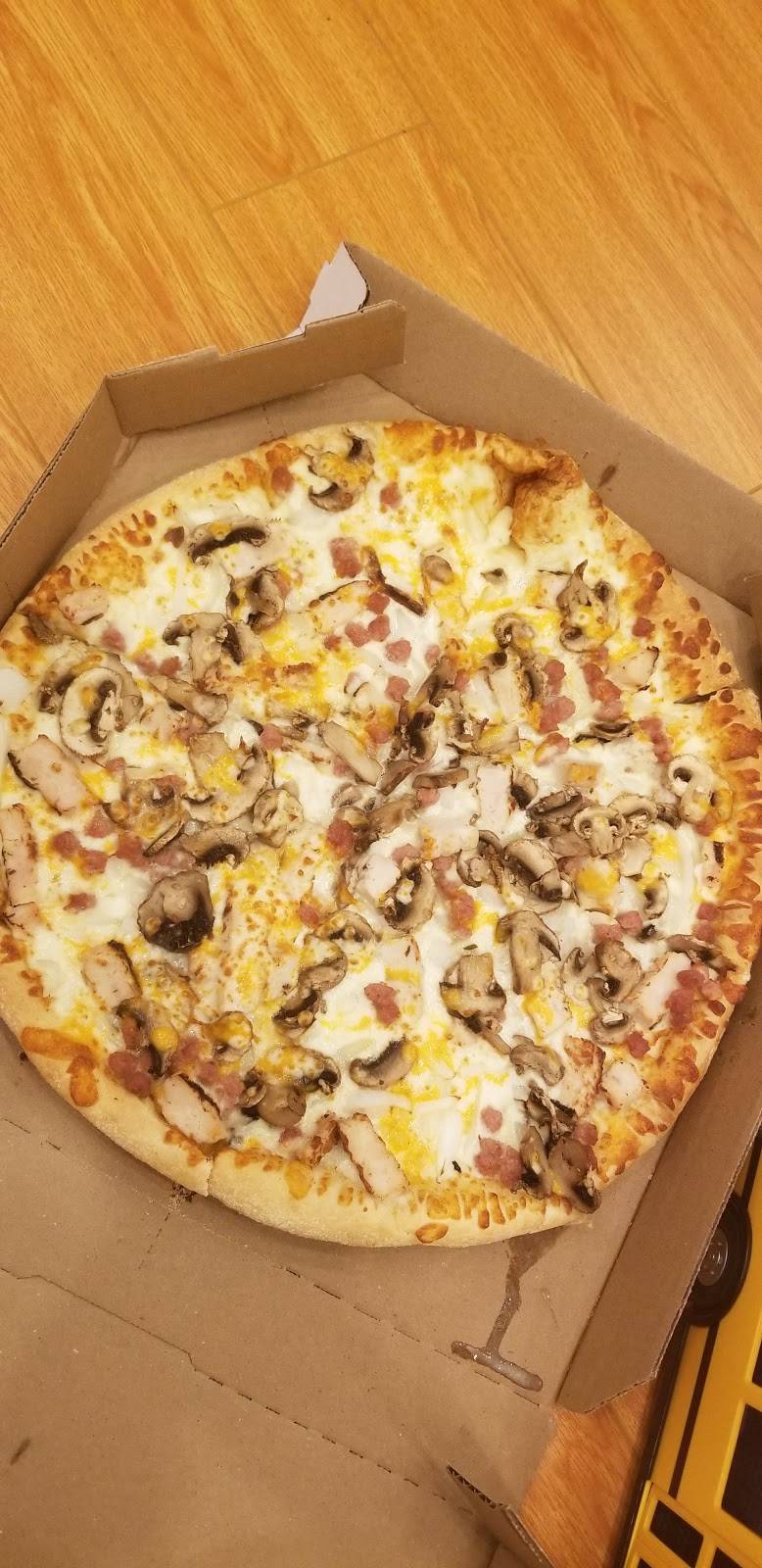 Dominos Pizza | meal delivery | 222 Finch Ave W Unit 109/110, North York, ON M2R 1M6, Canada | 4162211600 OR +1 416-221-1600