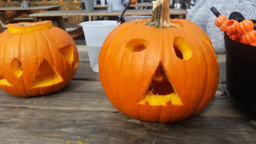 Morgans Pier | restaurant | 221 N Christopher Columbus Blvd, Philadelphia, PA 19123, USA | 2152797134 OR +1 215-279-7134