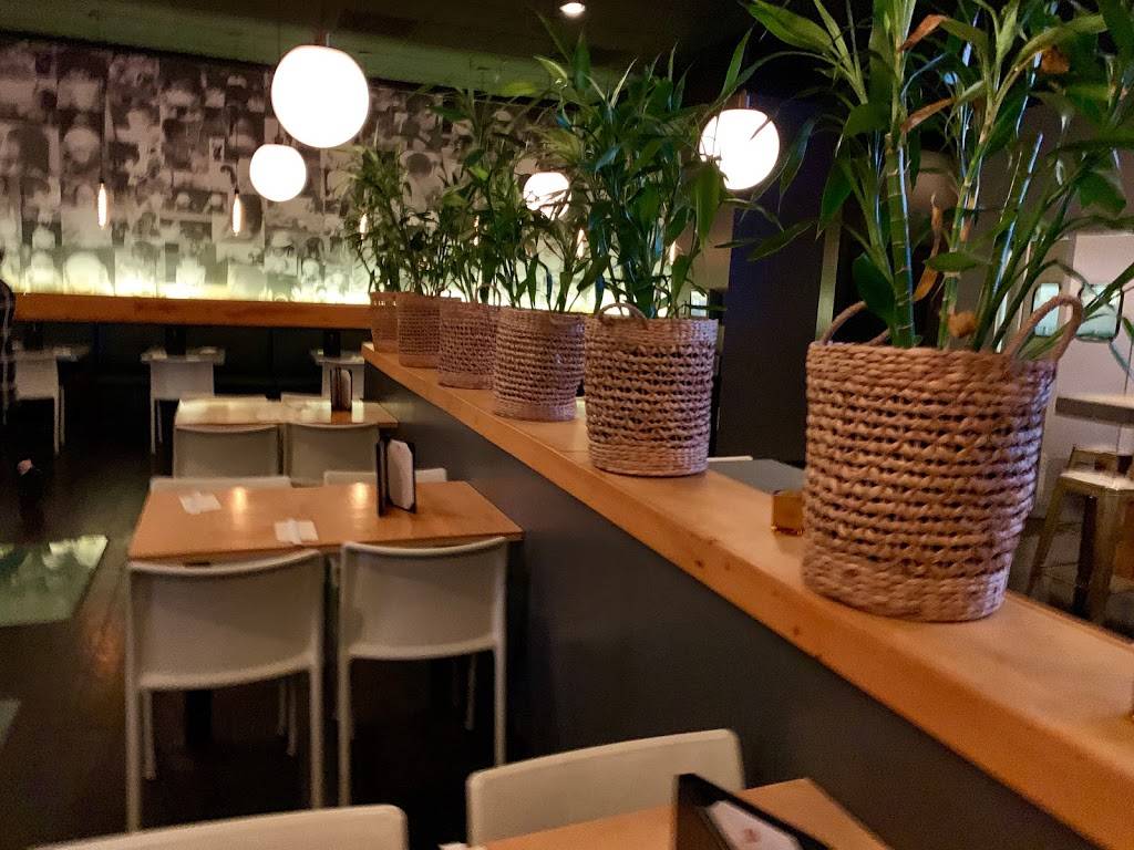 Zen Bistro Grill + Sushi Bar | restaurant | 9620 W Linebaugh Ave, Tampa, FL 33626, USA | 8137928686 OR +1 813-792-8686