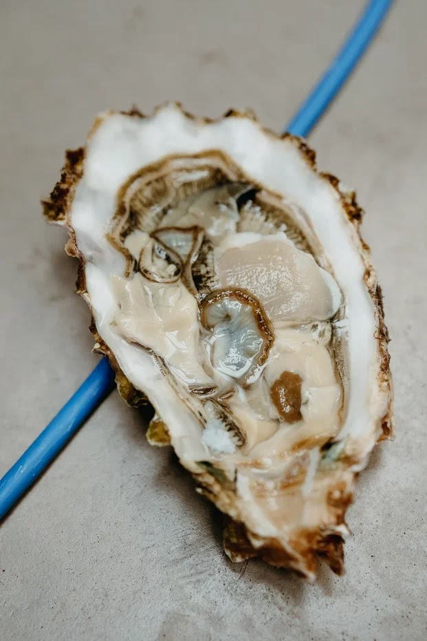 Ispalina Restaurant | restaurant | 5800 N Federal Hwy, Boca Raton, FL 33487, USA | 5615716159 OR +1 561-571-6159