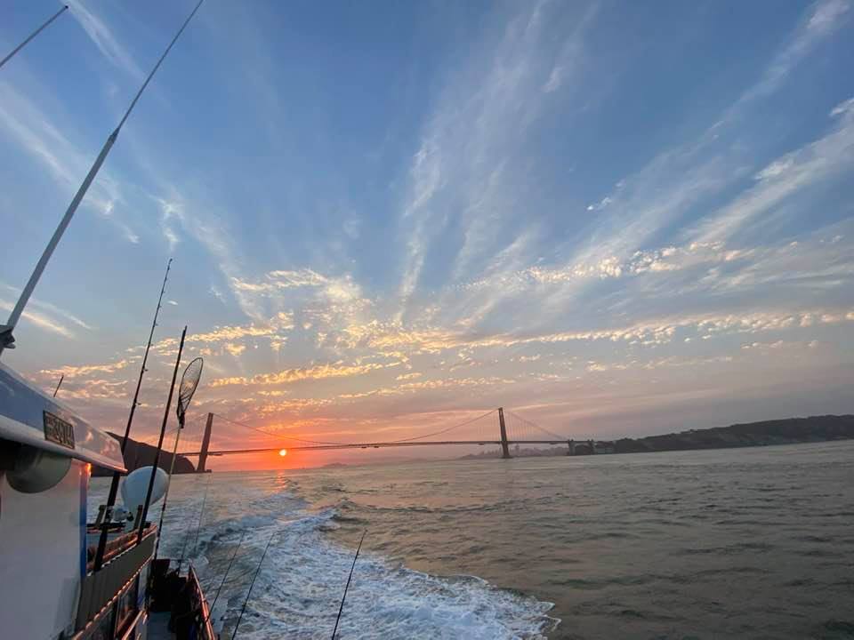 Pacific Pearl Charters | restaurant | 3310 Powell St, Emeryville, CA 94608, USA | 5106523403 OR +1 510-652-3403