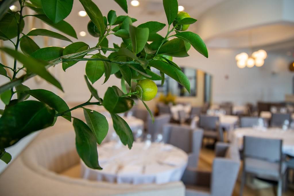 Paros Estiatorio | restaurant | 10561 Mission Rd, Leawood, KS 66206, USA | 9135441262 OR +1 913-544-1262