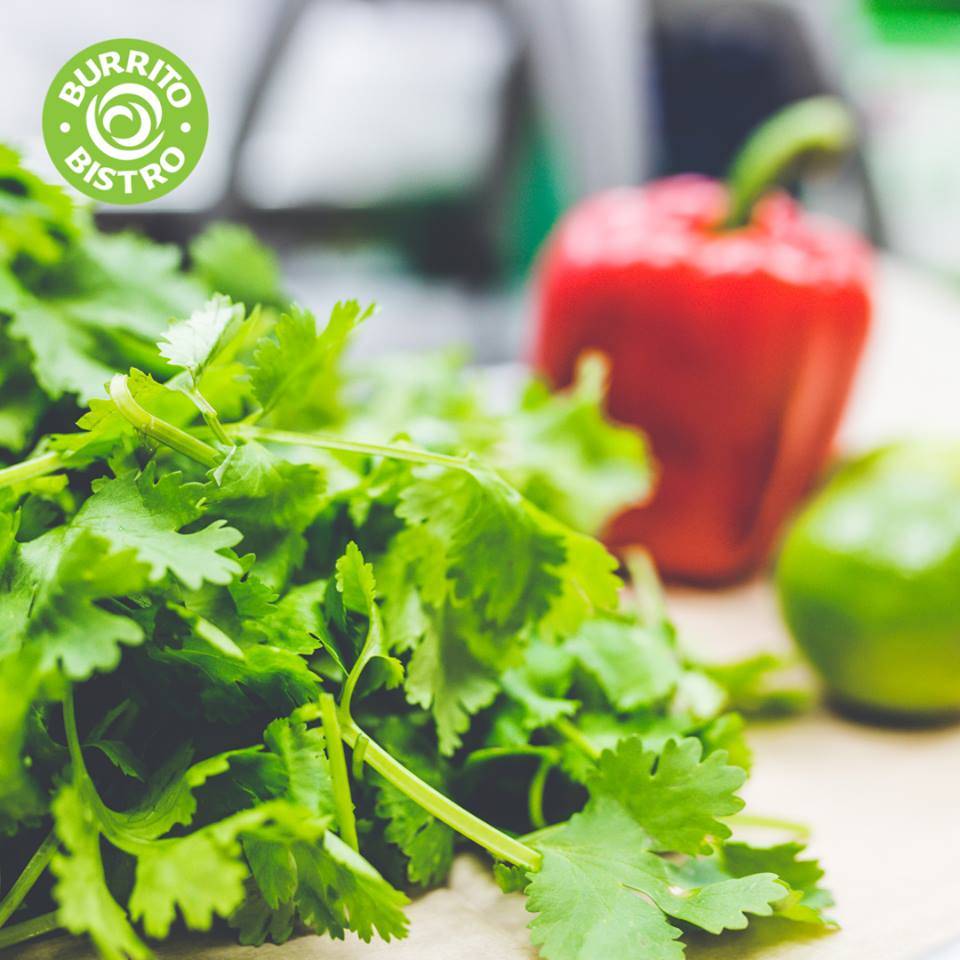 Burrito Bistro Hyannis | restaurant | 790 Iyannough Rd #5, Hyannis, MA 02601, USA | 5087716071 OR +1 508-771-6071